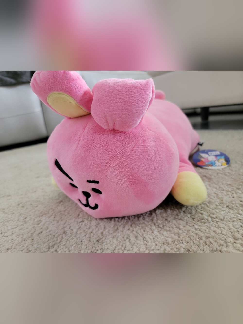 BTS COOKY PLUSH